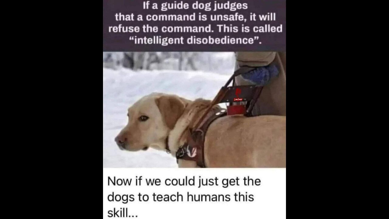 The Service