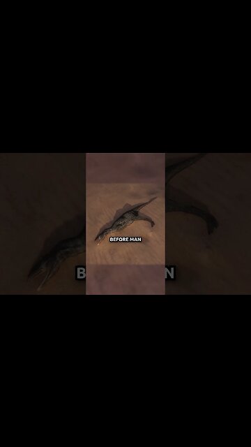 Christians CANNOT Reject This Truth