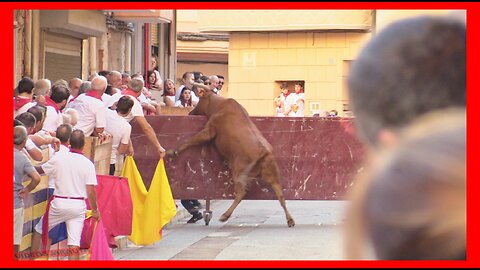 AZAGRA ( NAVARRA ) TARDE VACAS EN CALLE ( MIERCOLES 13 SEPTIEMBRE 2023 ) GANAD.ARRIAZU