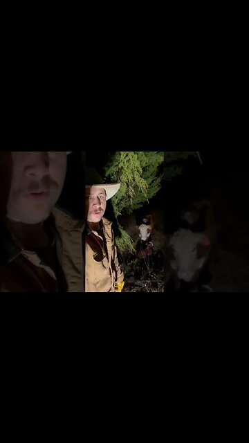 Day 9 of 30 days of #calving . #cattle #farm #farmlife #ranch #ranchlife #calf #cow #hay