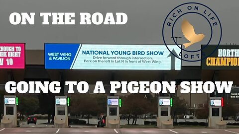 2023 Young Bird Show in Louisville, KY