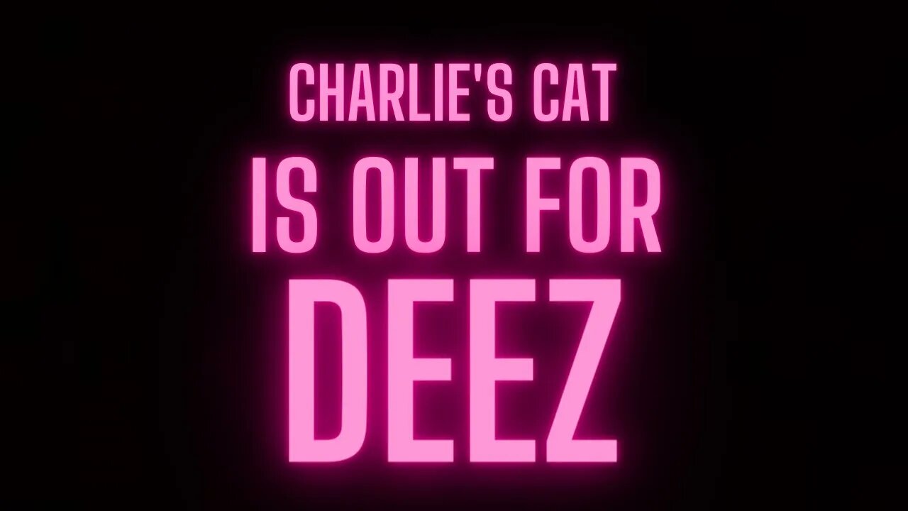 Charlie's cat is out for deez