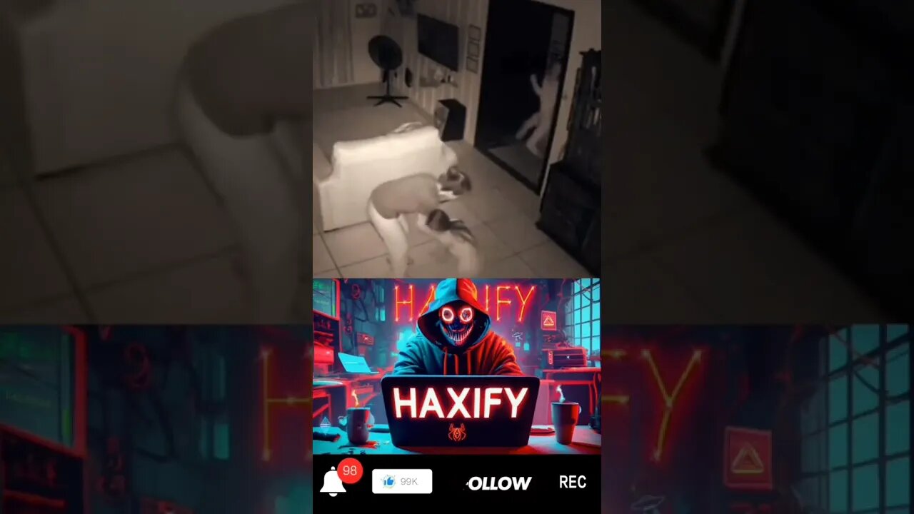 Extraordinary moments.... #scary #horror #conspiracy #trending #viralvideo| 369 πΆπ§π»