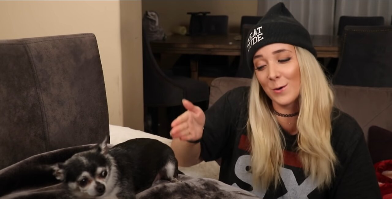 Reading Mean Comments About My Dogs