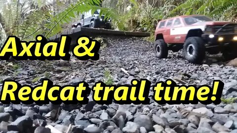 Nice rainforest trail