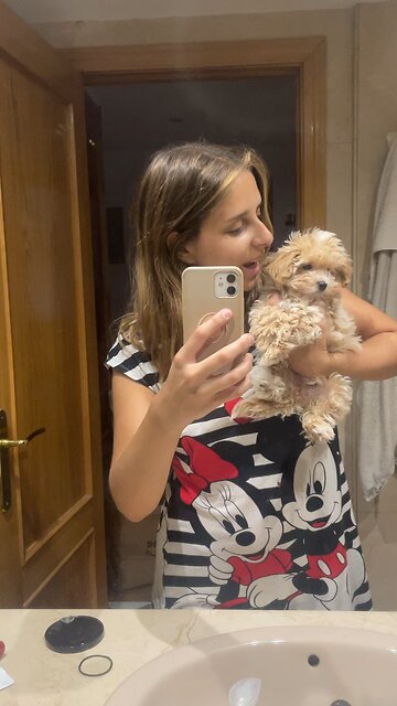 Maltipoo puppy with her owner