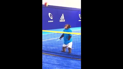 Monkey playing tennis