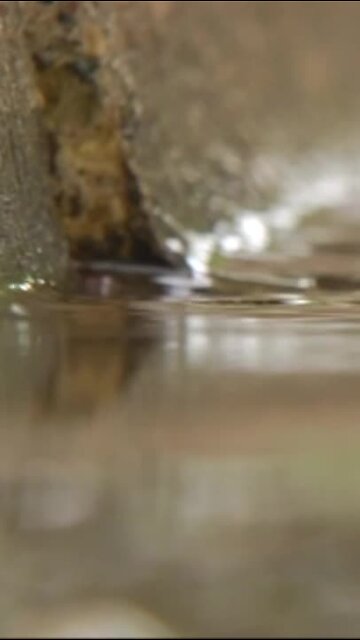 This is what a Water Drop Alert means in Milwaukee