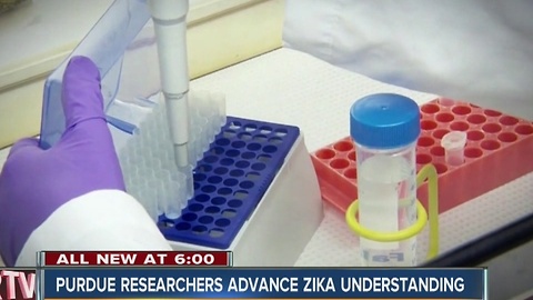 Purdue researchers advance Zika understanding