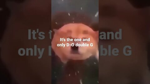 #shorts It's the one and only D-O double G