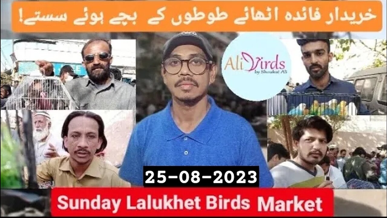 Abh cage aur feed nihayat hi munasib kemat pr! |25-08-2022| Ali Birds by Shoukat Ali