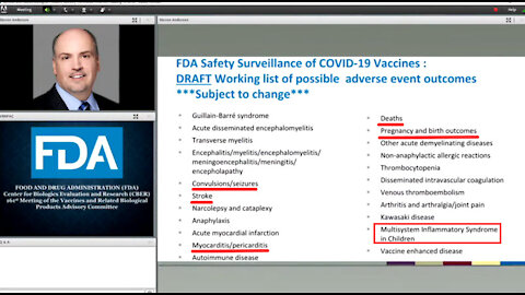 Vaccine side effects shown in a split of a second at FDA presentation (not commented at all)