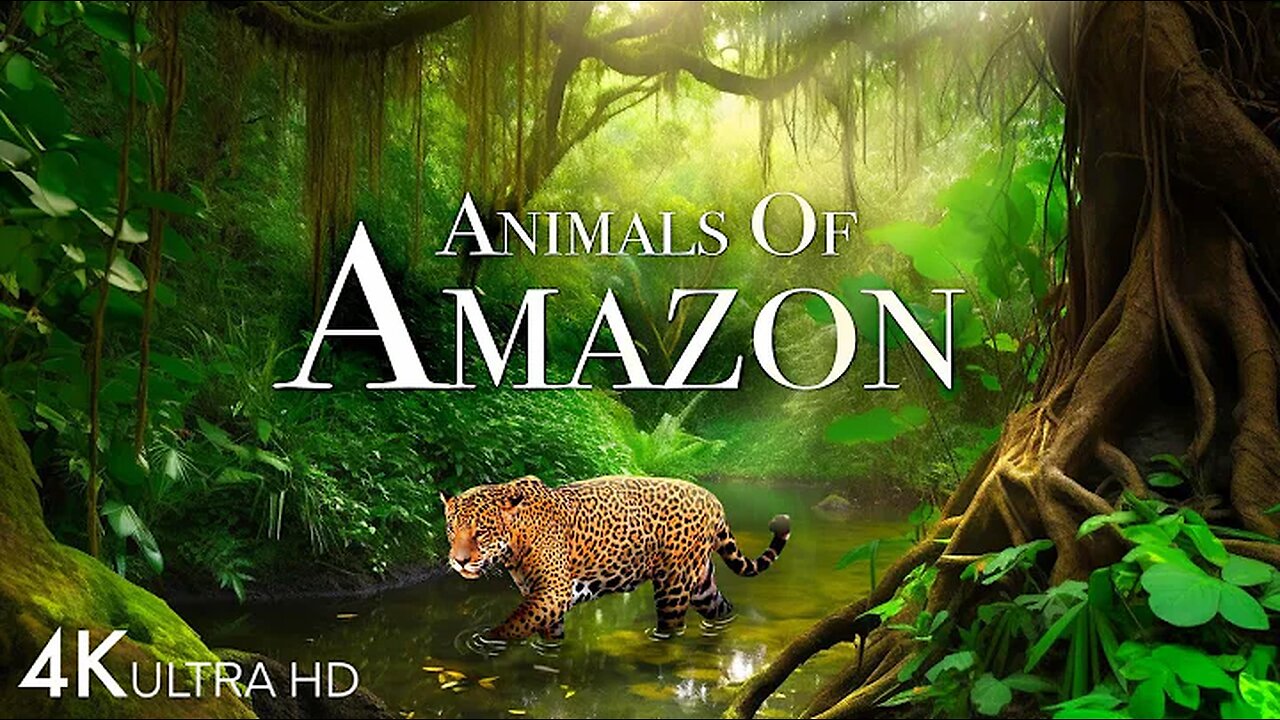 Animals of Amazon 4K - Wildlife in Amazon Jungle | Rainforest Sounds