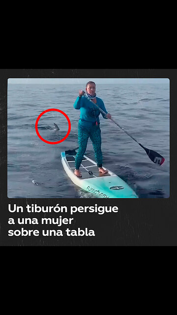 Un tiburón persigue a una mujer en tabla de paddle surf