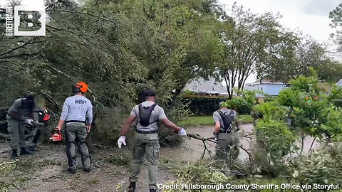 TREE TEAM, ASSEMBLE! Hillsborough Sheriff's Office REMOVES Downed Trees in Florida