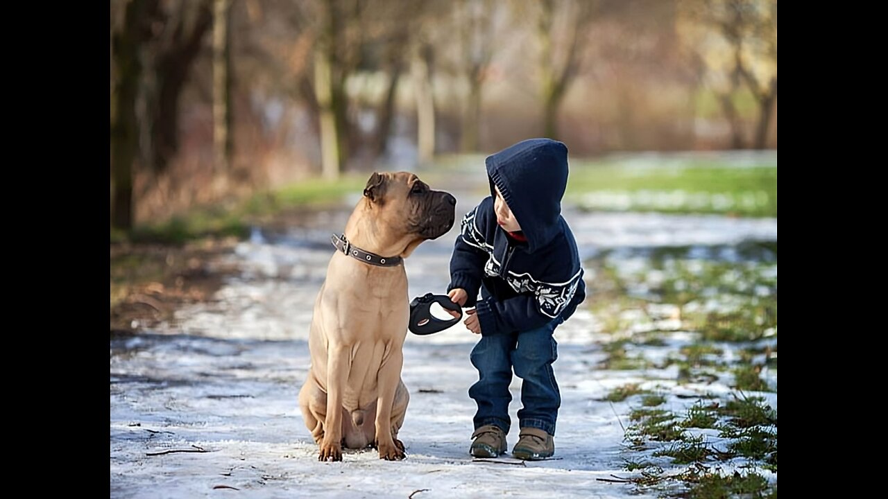 Cute baby animals Videos Compilation cute moment of the animals - Cutest Animals On Earth #23