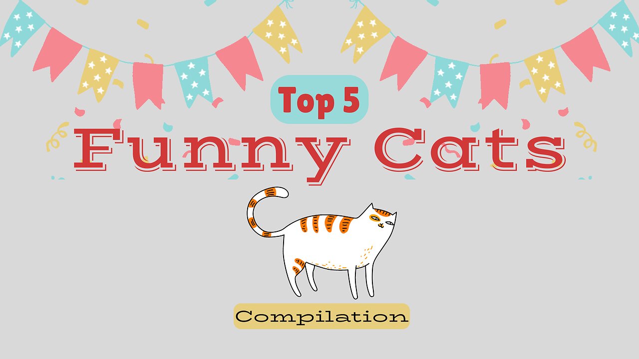 Orange Green Top 5 Funny Cats Compilation Video