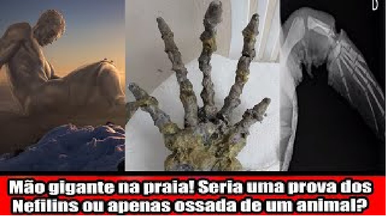 Mão gigante na praia! Seria uma prova dos Nefilins ou apenas ossada de um animal