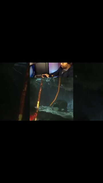 EU NÃO TENHO MAIS FLECHAS | RISE OF THE TOMB RAIDER #Shorts