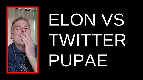 Elon Rebukes Whiny Twitter Employee