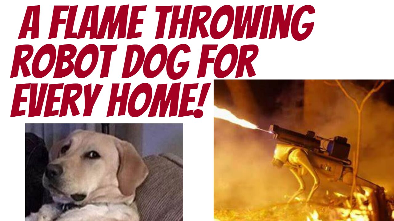 We all need a robot dog... one that REALLY protects us!
