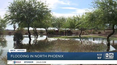 Flooding in north Phoenix neighborhood