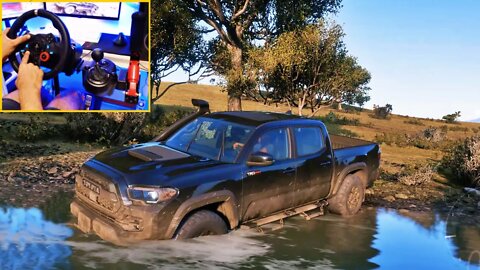 FORZA HORIZON 5 OFFROADING REALISTIC TOYOTA TACOMA TRD PRO 2019 Steering Wheel G29 GAMEPLAY