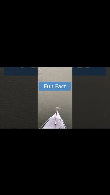 Shrimp ❤️🦐 #seafood #youtubeshorts #fact