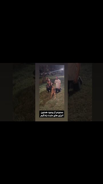 Tida dog dogs dog 有名な犬 famous dog perro famoso знаменитая собака chien célèbre cane famoso تیدا سگ