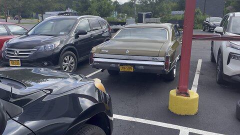 1972 Monte Carlo… in the wild