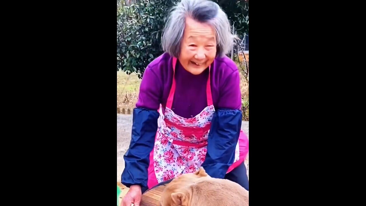 China funny video shorts