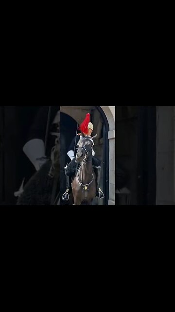 Their protest went wrong stand back from the kings life guard #horseguardsparade
