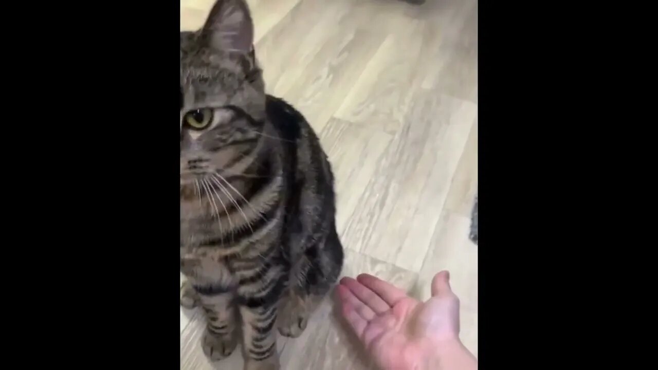 Hand ... another hand ... feet!