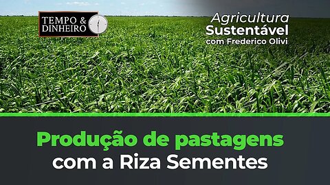 Produção de pastagens com a Riza Sementes