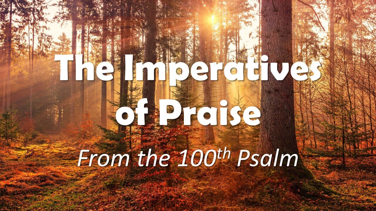 The Imperatives of Praise 4, Pastor David Hansen, 11-21-2023