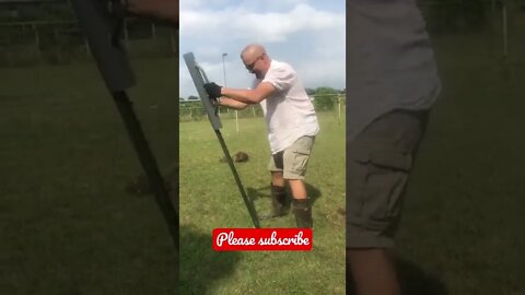 She digs my angles! 😂 #shorts