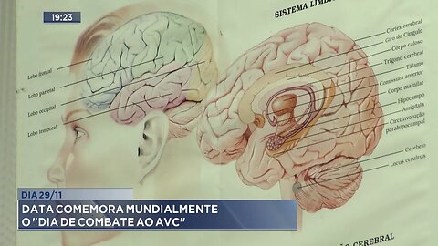 Dia 29/11: Data comemora mundialmente o "Dia de Combate ao AVC".