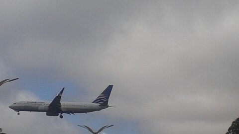 Boeing 737-800 HP-1843CMP Continental Airlines coming from Santarém(Pará) to Manaus(Amazonas)