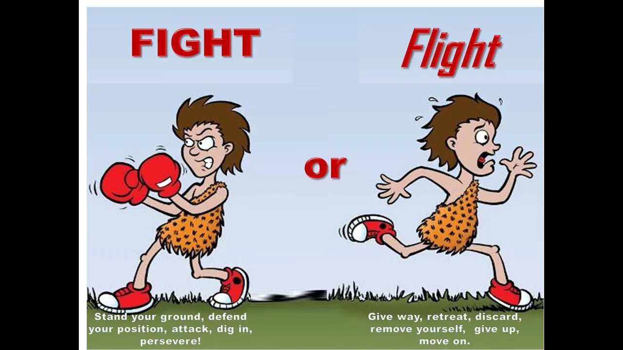 IST Health Tip of the Day..Escapeability or Fightability?