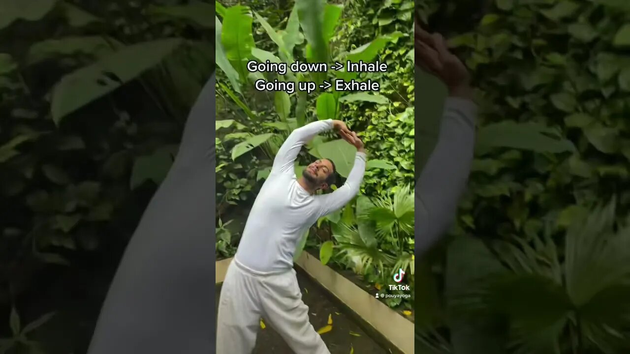 Release Spine Tension