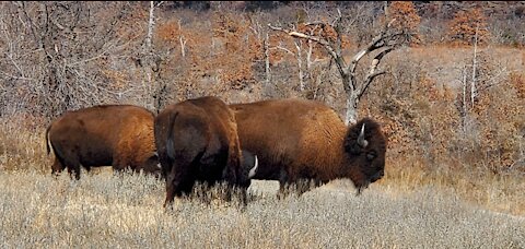 Oklahoma Living EP21: Wichita Mountain