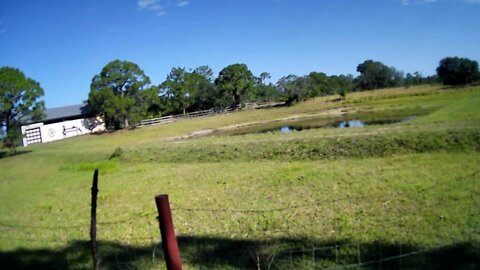 Friday Afternoon. Venus Ranch..