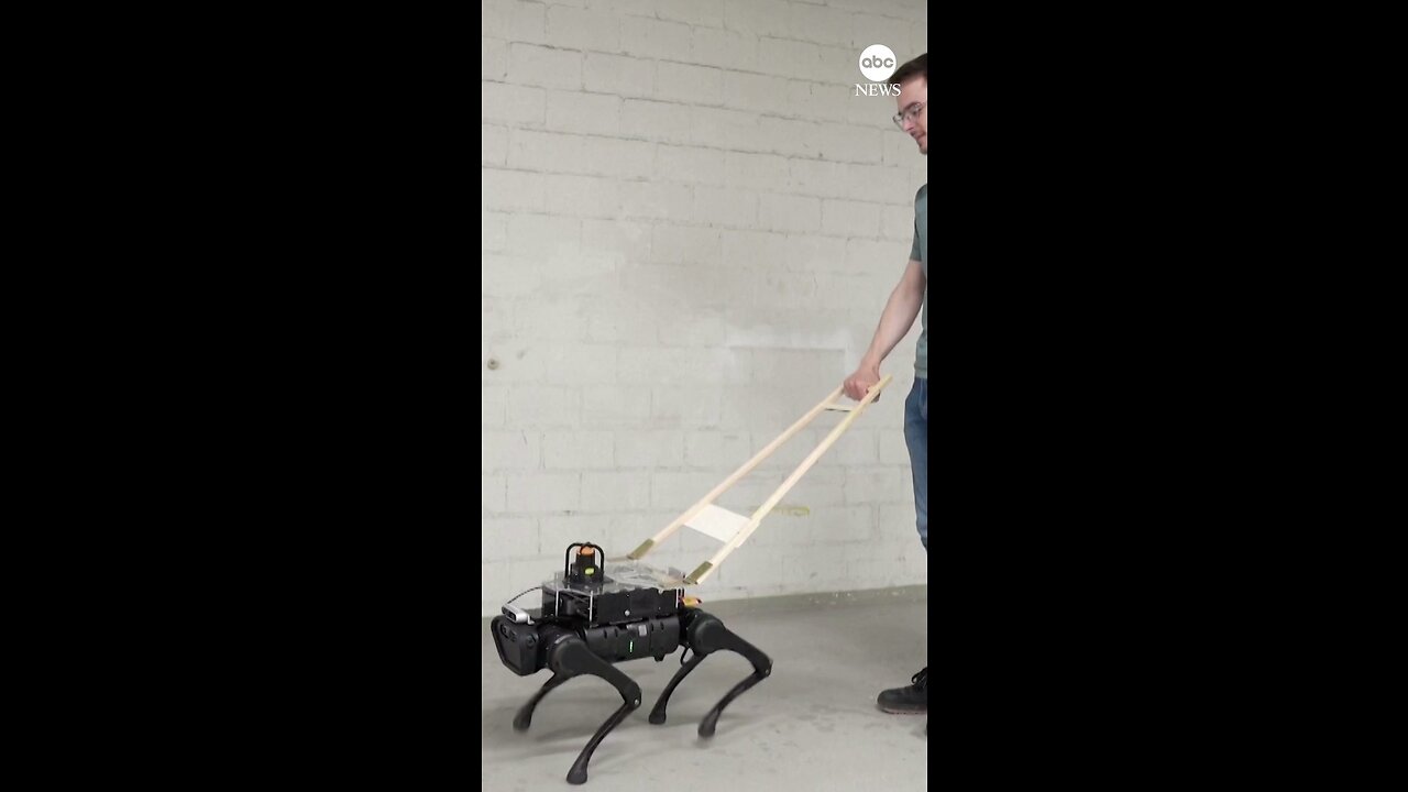 GO GO GADGET GUIDE DOG: A four-legged robot that can 'see' its surroundings could eventually