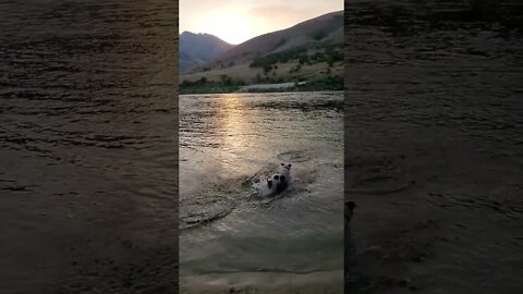 Salmon River was a family favorite. We have so many good memories from this day.
