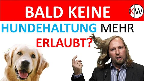 Die Grünen wollen Hundehaltung drastisch erschweren!@Kontraste - Der Wirtschaftsblog🙈