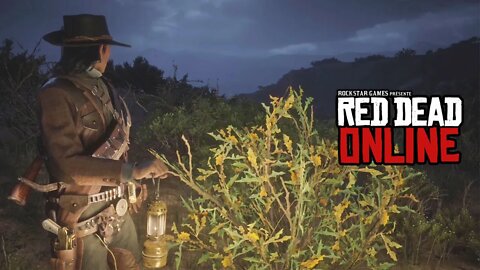 RDR2 Online 🌾Agarita