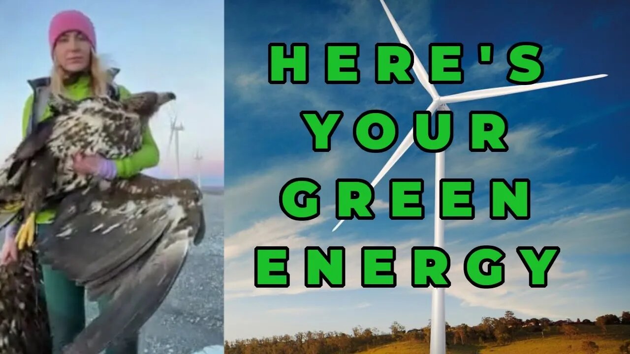 Eagle found at the feet of a wind turbine, one of hundreds, every year