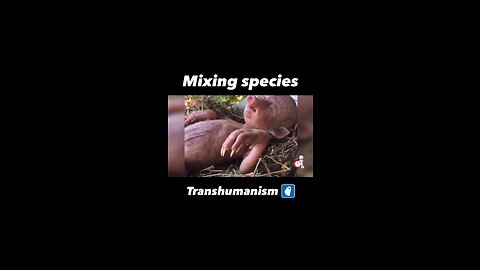 TRANSHUMANISM - Mixing Species