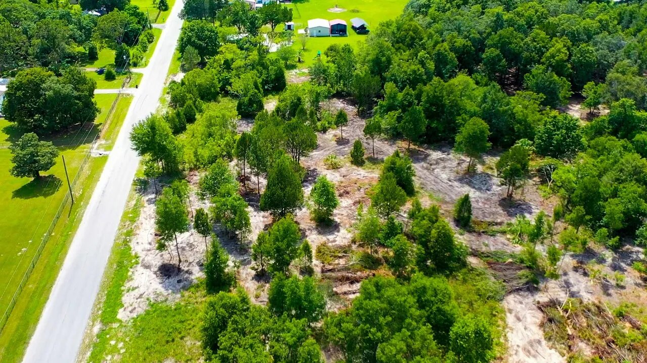 Huge Progress Clearing Our New Property + Mulch Galore!