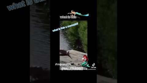 MERMAIDS part 1